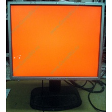 Монитор 19" TFT HP 1955 (DVI в Жуковском, USB-хаб) "квадратный" (Жуковский)