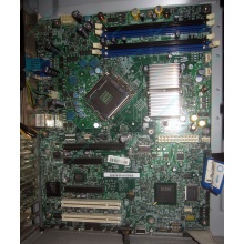 Материнская плата Intel Server Board S3200SH s.775 (Жуковский)