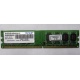 Модуль оперативной памяти 4Gb DDR2 Patriot PSD24G8002 pc-6400 (800MHz)  (Жуковский)