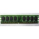 Модуль оперативной памяти 4096Mb DDR2 Patriot PSD24G8002 pc-6400 (800MHz)  (Жуковский)