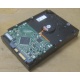 Жесткий диск HP 250Gb 7200 rpm 432337-001/ 399699-001 / 397377-004 (Жуковский)