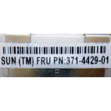 Серверная память SUN (FRU PN 371-4429-01) 4096Mb (4Gb) DDR3 ECC в Жуковском, память для сервера SUN FRU P/N 371-4429-01 (Жуковский)