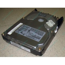 Жесткий диск 18.4Gb Quantum Atlas 10K III U160 SCSI 80 pin (Жуковский)