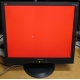 Монитор 19" ViewSonic VA903b (1280x1024) есть битые пиксели (Жуковский)