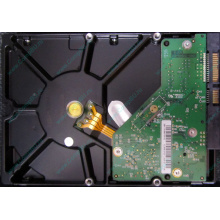 Б/У жёсткий диск 1Tb Western Digital WD10EVVS Green (WD AV-GP 1000 GB) 5400 rpm SATA (Жуковский)