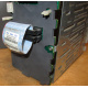 HP 365664-001 кабель SCSI для корзины 373108-001 / 359719-001 HP ML370G4 (Жуковский)