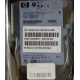 Жёсткий диск 146.8Gb HP 365695-008 404708-001 BD14689BB9 256716-B22 MAW3147NC 10000 rpm Ultra320 Wide SCSI купить в Жуковском, цена (Жуковский).