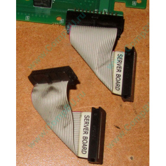 6017B0045701 Шлейф 24 pin для Intel C74974-401 T0043401-B01 корпуса SR2400 (Жуковский)