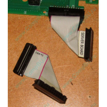 6017B0045701 Шлейф 24 pin для Intel C74974-401 T0043401-B01 корпуса SR2400 (Жуковский)