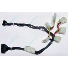 59P4789 FRU 59P4792 в Жуковском, кабель IBM 59P4789 FRU 59P4792 для серверов X225 (Жуковский)