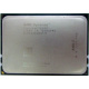 AMD Opteron 6128 OS6128WKT8EGO (Жуковский)