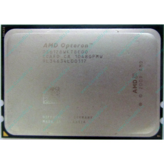 AMD Opteron 6128 OS6128WKT8EGO (Жуковский)