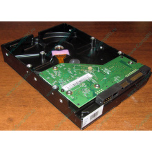 Жесткий диск 500Gb WD WD5000AAKX HP 634605-003 613208-001 7.2k SATA (Жуковский)